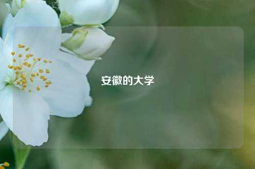 安徽的大学