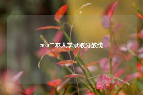 2020二本大学录取分数线
