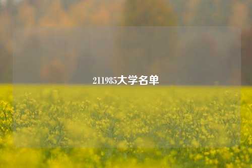 211985大学名单