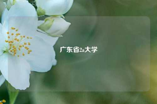 广东省2a大学