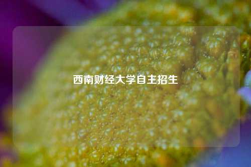 西南财经大学自主招生
