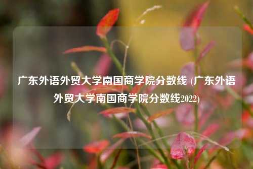 广东外语外贸大学南国商学院分数线 (广东外语外贸大学南国商学院分数线2022)