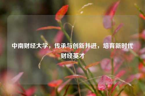 中南财经大学，传承与创新并进，培育新时代财经英才
