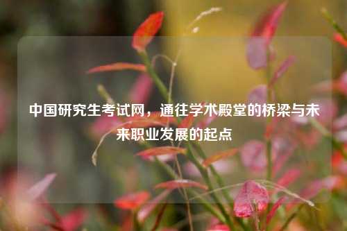 中国研究生考试网，通往学术殿堂的桥梁与未来职业发展的起点