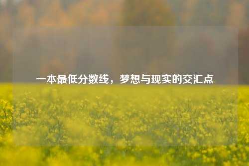 一本最低分数线，梦想与现实的交汇点