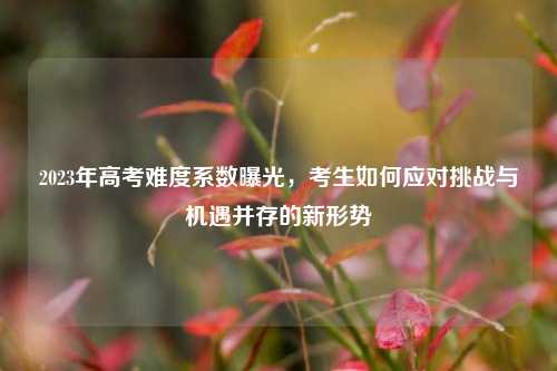 2023年高考难度系数曝光，考生如何应对挑战与机遇并存的新形势