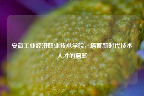 安徽工业经济职业技术学院，培育新时代技术人才的摇篮