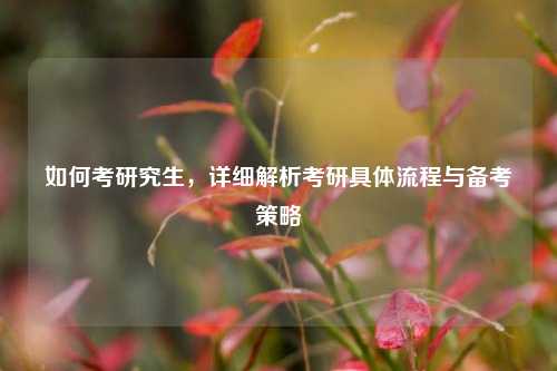 如何考研究生，详细解析考研具体流程与备考策略