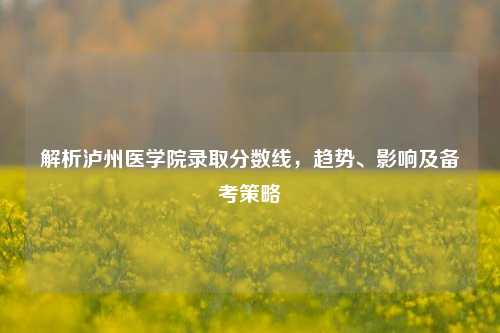 解析泸州医学院录取分数线，趋势、影响及备考策略