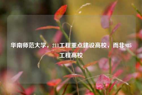 华南师范大学，211工程重点建设高校，而非985工程高校