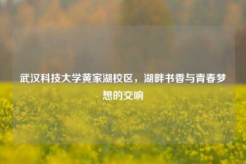武汉科技大学黄家湖校区，湖畔书香与青春梦想的交响