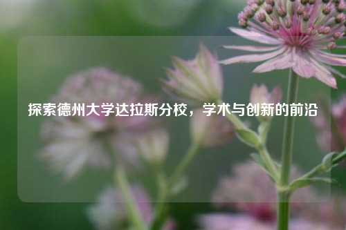 探索德州大学达拉斯分校，学术与创新的前沿