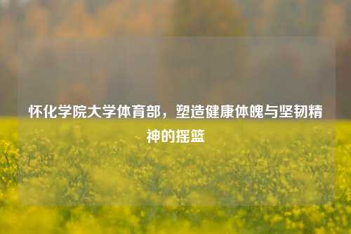 怀化学院大学体育部，塑造健康体魄与坚韧精神的摇篮