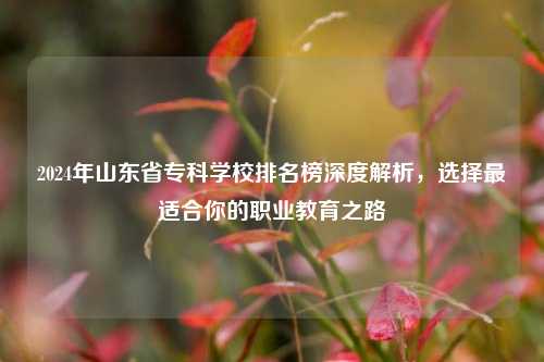 2024年山东省专科学校排名榜深度解析，选择最适合你的职业教育之路