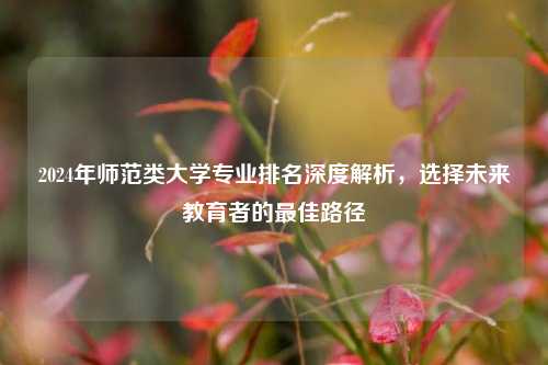 2024年师范类大学专业排名深度解析，选择未来教育者的最佳路径