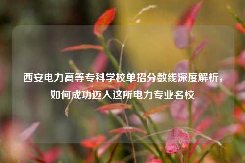 西安电力高等专科学校单招分数线深度解析，如何成功迈入这所电力专业名校