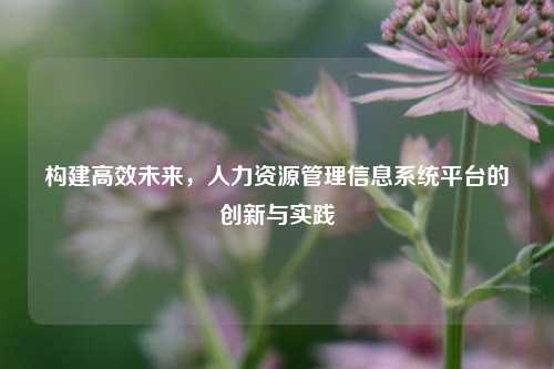 构建高效未来，人力资源管理信息系统平台的创新与实践
