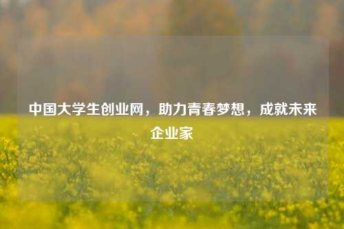 中国大学生创业网，助力青春梦想，成就未来企业家
