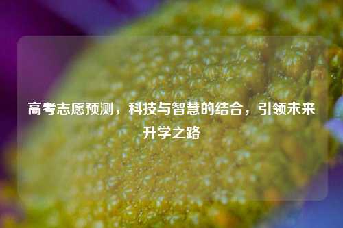 高考志愿预测，科技与智慧的结合，引领未来升学之路