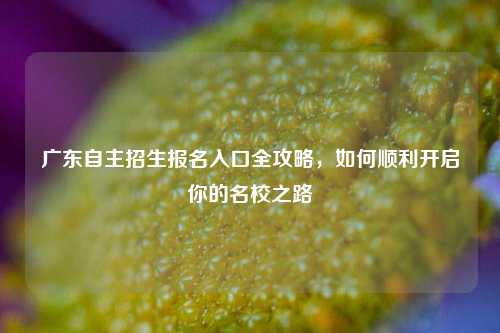 广东自主招生报名入口全攻略，如何顺利开启你的名校之路