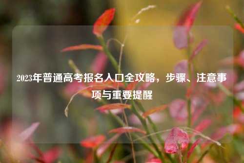 2023年普通高考报名入口全攻略，步骤、注意事项与重要提醒