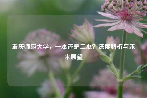 重庆师范大学，一本还是二本？深度解析与未来展望