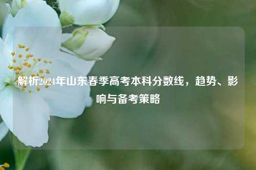 解析2024年山东春季高考本科分数线，趋势、影响与备考策略