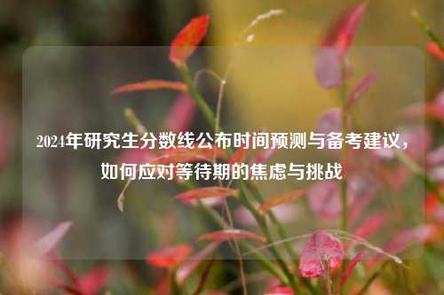2024年研究生分数线公布时间预测与备考建议，如何应对等待期的焦虑与挑战