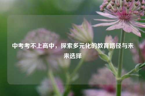 中考考不上高中，探索多元化的教育路径与未来选择