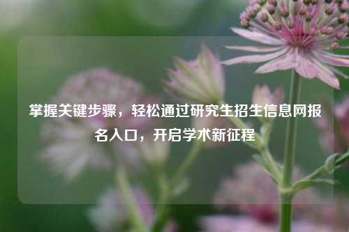 掌握关键步骤，轻松通过研究生招生信息网报名入口，开启学术新征程