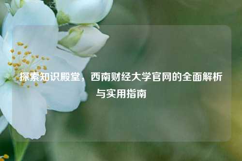 探索知识殿堂，西南财经大学官网的全面解析与实用指南
