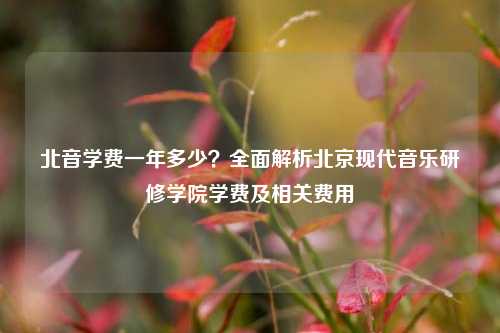 北音学费一年多少？全面解析北京现代音乐研修学院学费及相关费用