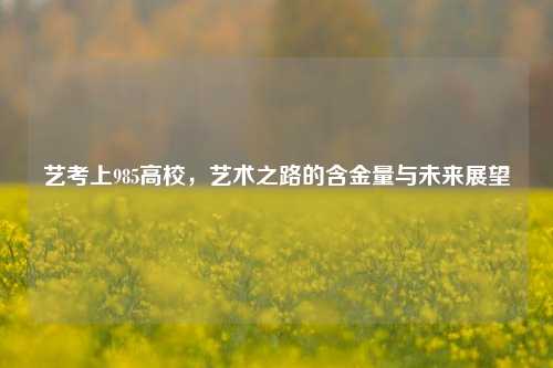 艺考上985高校，艺术之路的含金量与未来展望