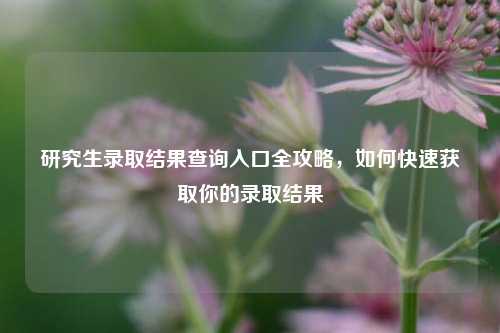 研究生录取结果查询入口全攻略，如何快速获取你的录取结果
