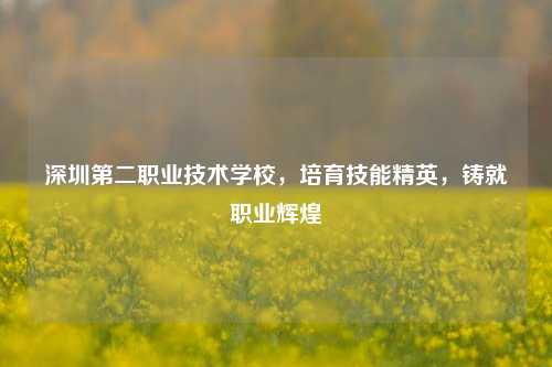 深圳第二职业技术学校，培育技能精英，铸就职业辉煌