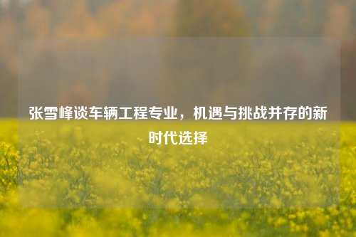 张雪峰谈车辆工程专业，机遇与挑战并存的新时代选择