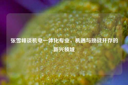 张雪峰谈机电一体化专业，机遇与挑战并存的新兴领域