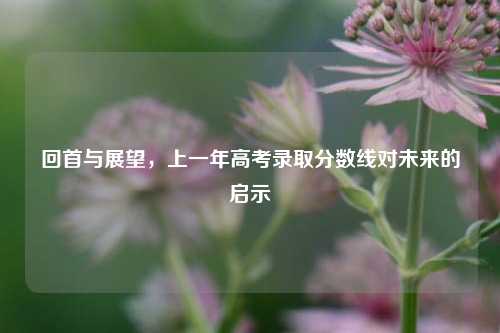 回首与展望，上一年高考录取分数线对未来的启示