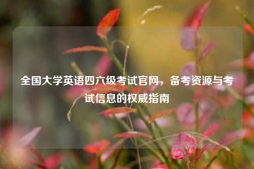 全国大学英语四六级考试官网，备考资源与考试信息的权威指南