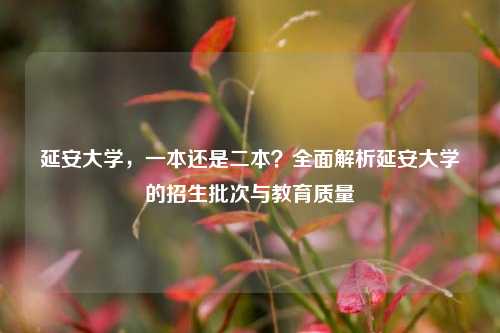 延安大学，一本还是二本？全面解析延安大学的招生批次与教育质量