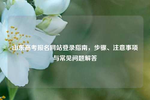 山东高考报名网站登录指南，步骤、注意事项与常见问题解答