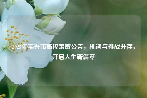 2025年嘉兴市高校录取公告，机遇与挑战并存，开启人生新篇章