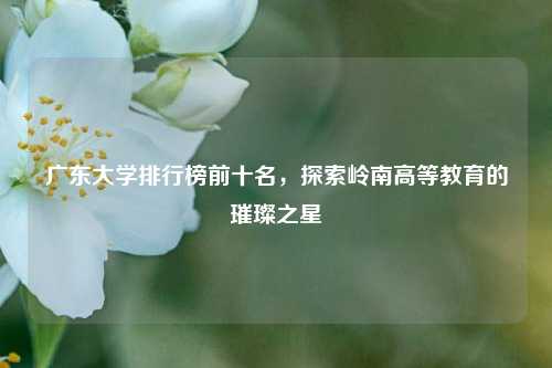 广东大学排行榜前十名，探索岭南高等教育的璀璨之星