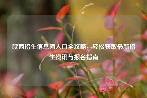 陕西招生信息网入口全攻略，轻松获取最新招生资讯与报名指南