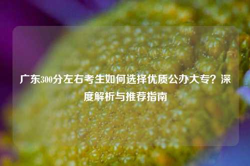 广东300分左右考生如何选择优质公办大专？深度解析与推荐指南