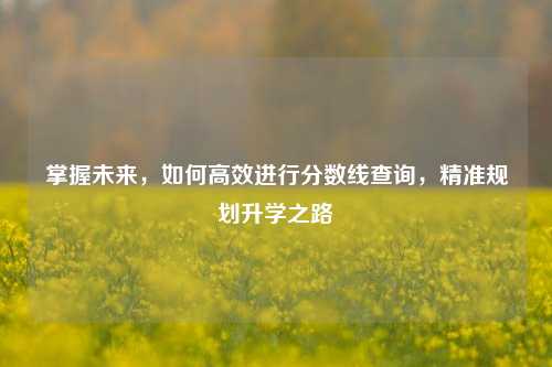 掌握未来，如何高效进行分数线查询，精准规划升学之路