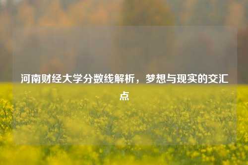 河南财经大学分数线解析，梦想与现实的交汇点
