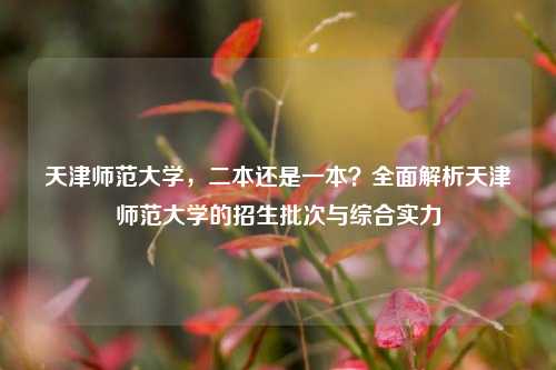 天津师范大学，二本还是一本？全面解析天津师范大学的招生批次与综合实力