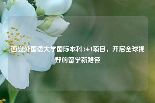 西安外国语大学国际本科3+1项目，开启全球视野的留学新路径