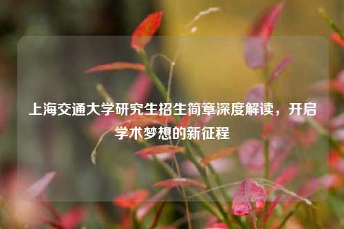 上海交通大学研究生招生简章深度解读，开启学术梦想的新征程